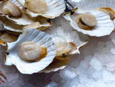 Un moyen sûr de déguster des fruits de mer exotiques